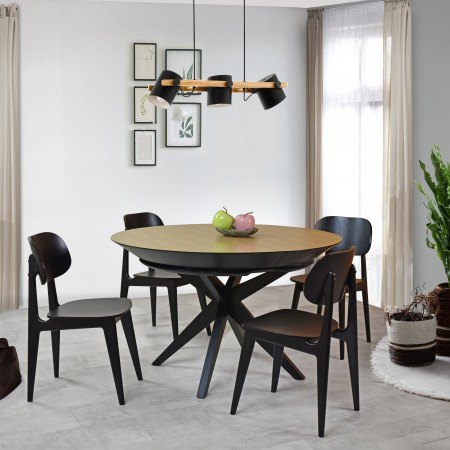 Černá jídelní židle celo dřevěná , Jídelní židle- 12