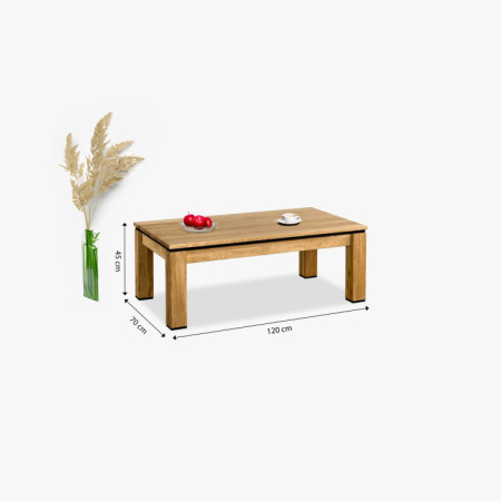 Eichen-Couchtisch 120 x 70 cm