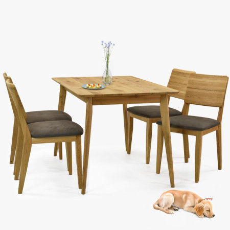 Sitzgruppe Tisch 120 x 80 cm und 4 Stühle für das Esszimmer