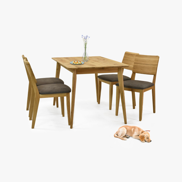 Sitzgruppe Tisch 120 x 80 cm und 4 Stühle für das Esszimmer