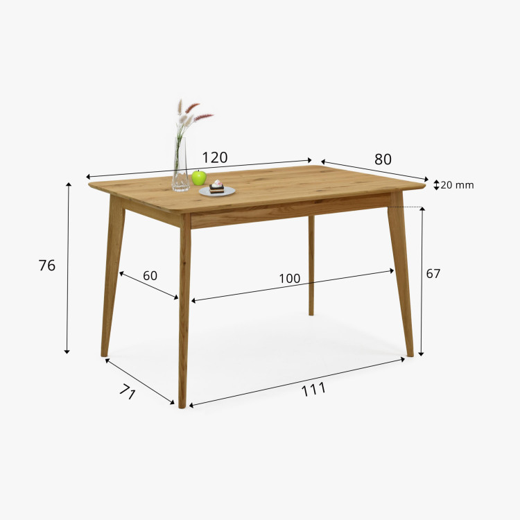 Sitzgruppe Tisch 120 x 80 cm und 4 Stühle für das Esszimmer
