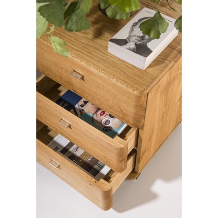 Komoda se šuplíky na kolečkách z masivu , Pracovna a předsíň- 2