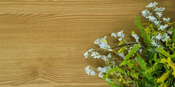 Typische Eigenschaften und Charakter des Kiefernholzes